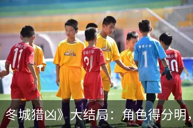 冬城猎凶》大结局：角色得分明，反响不一，喜与忧交织